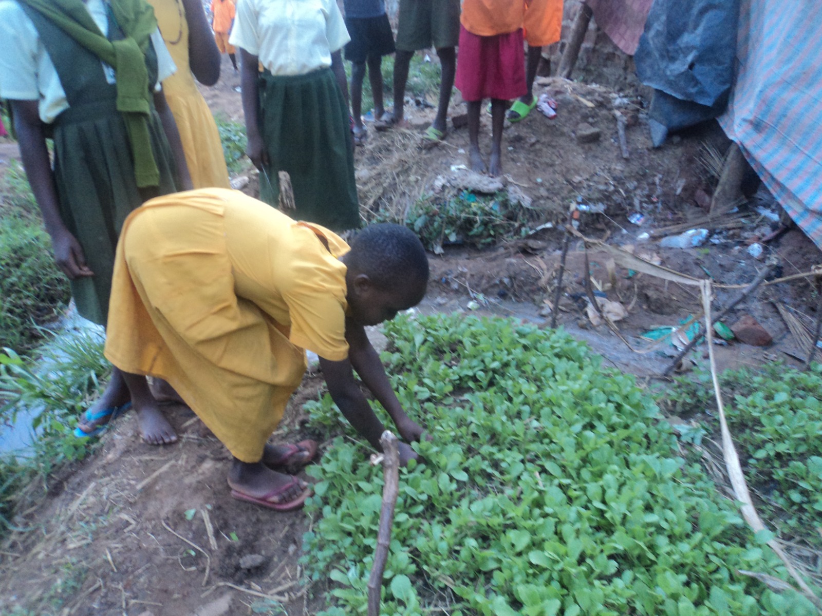 LYF Uganda community programme — photo 45